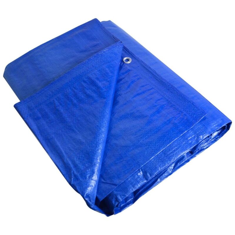 Brawny Waterproof Tarpaulin - 7m x 9m - Eyelets - Blue