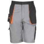 Result Work-Guard Lite Shorts